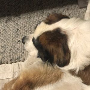 Meet your Posher, Carrie